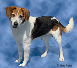 Chuck---Chance-Foundation-9065-Edit.jpg