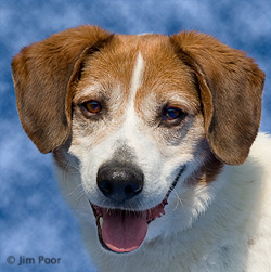 Chuck---Chance-Foundation-9072-Edit.jpg