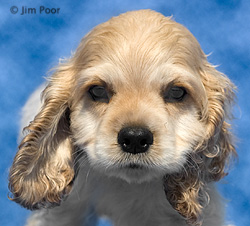 Daniel-2--Chance-Foundation-9125-Edit-Edit.jpg