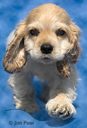 Daniel2---Chance-Foundation-9125-Edit.jpg