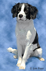 Jake---Chance-Foundation-9196-Edit.jpg