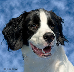 Jake---Chance-Foundation-9210-Edit.jpg