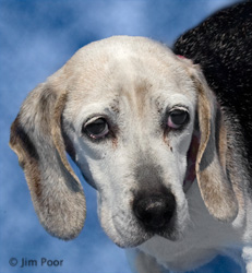 Kerry---Chance-Foundation-8984-Edit.jpg