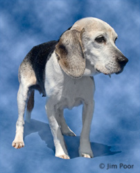Kerry---Chance-Foundation-8995-Edit.jpg