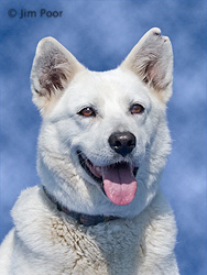 Lady--Chance-Foundation-8747-Edit.jpg