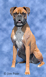 Lucy---Chance-Foundation-8840-Edit.jpg