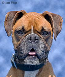 Lucy---Chance-Foundation-8845-Edit.jpg