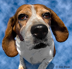 Mimi---Chance-Foundation-9009-Edit.jpg