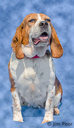 Mimi---Chance-Foundation-9029-Edit.jpg
