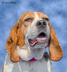 Mimi-2-Chance-Foundation-9029-Edit.jpg
