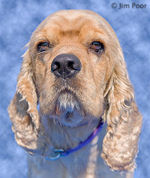 Nemo---Chance-Foundation-8762-Edit.jpg