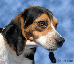Penny---Chance-Foundation-9175-Edit.jpg