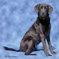 Ripley---Chance-Foundation-8945-Edit.jpg