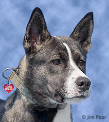 Sarga---Chance-Foundation-8893-Edit.jpg