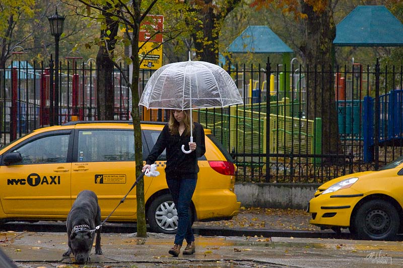 NYC Taxi
