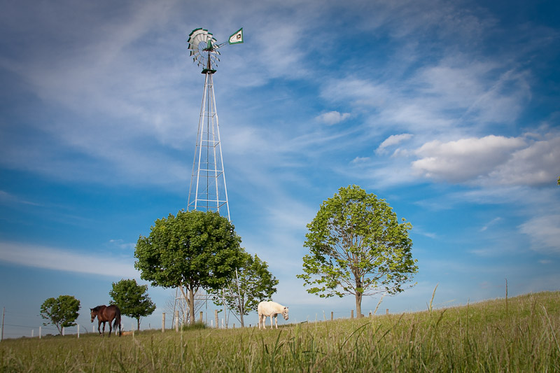 The Windmill