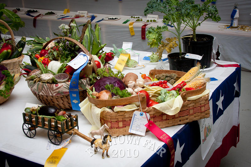 IMG_2364.jpg