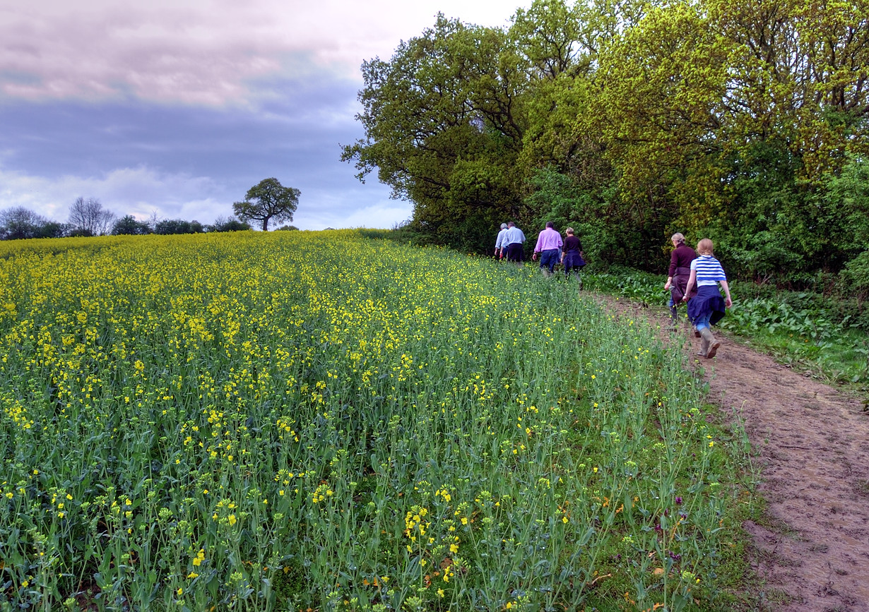 En route to the top of Brailes Hill
