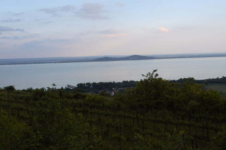 View from top of the hill