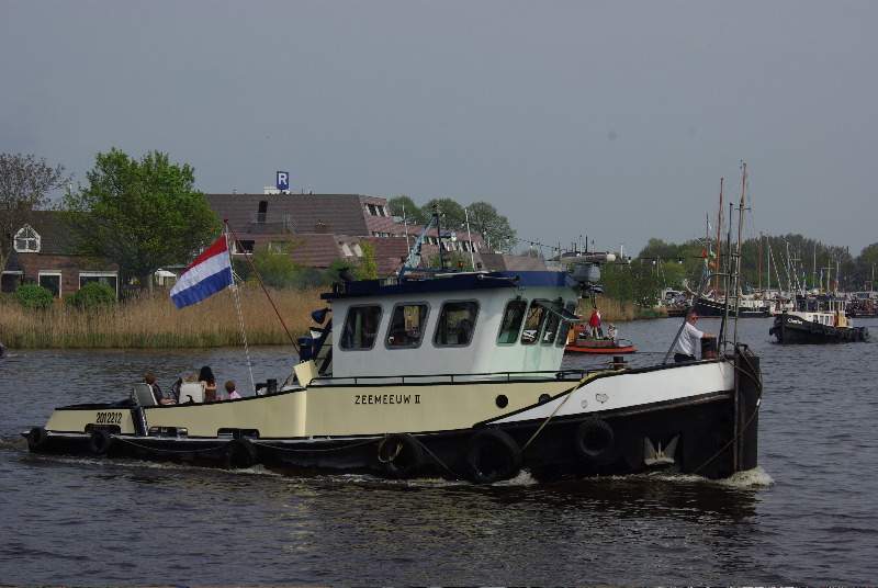 Zeemeeuw 2