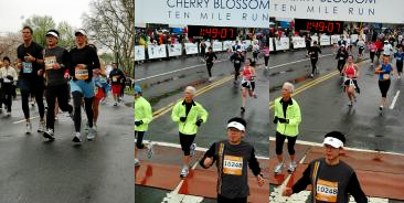 cherry10m2008.png