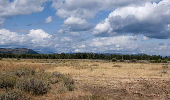 Grand Tetons 15.jpg