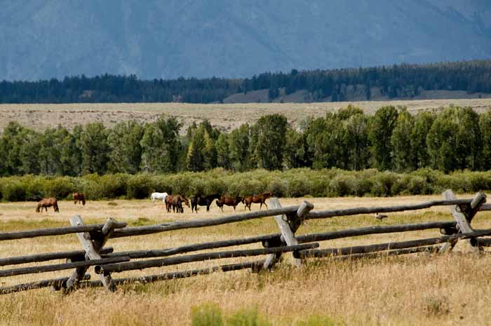 Grand Tetons 19.jpg