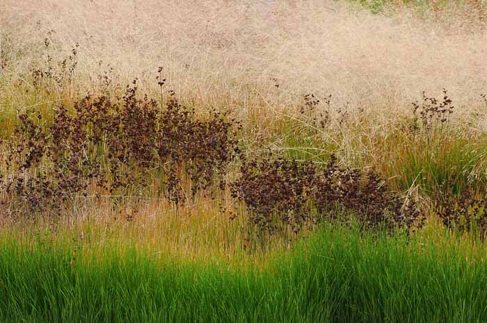Yellowstone Patterns 03