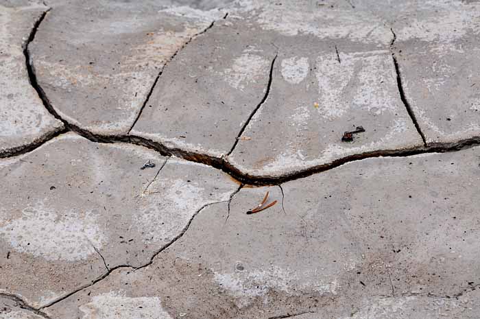 Yellowstone Patterns 06