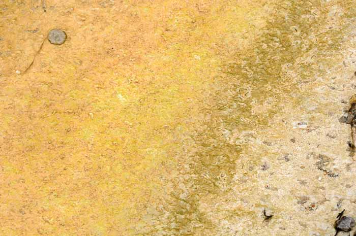 Yellowstone Patterns 11