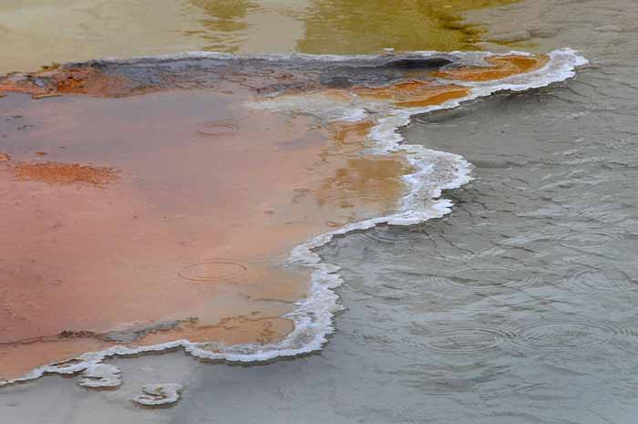 Yellowstone Patterns 12