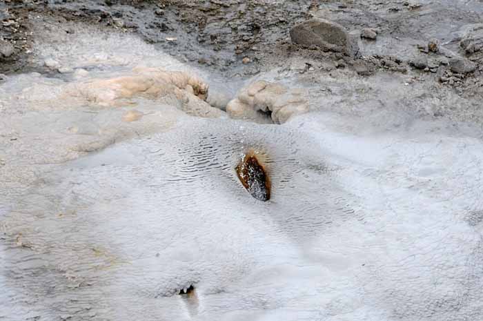 Yellowstone Patterns 13