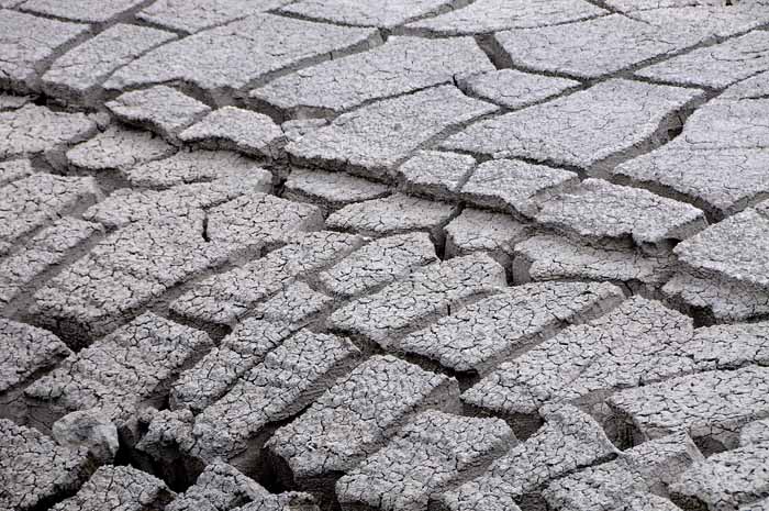 Yellowstone Patterns 15