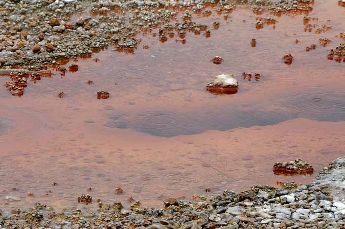 Yellowstone Patterns 23
