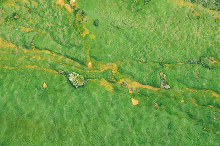 Yellowstone Patterns 25