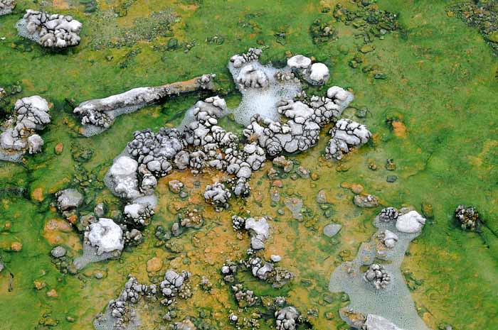 Yellowstone Patterns 26