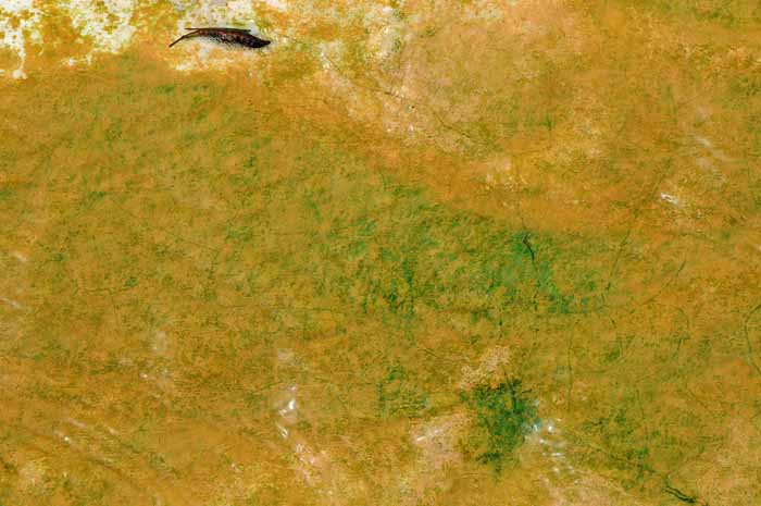 Yellowstone Patterns 29