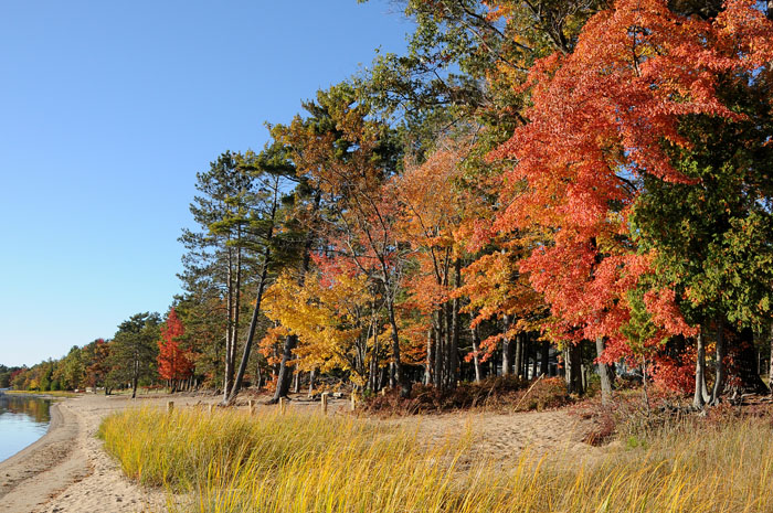 Higgins Lake 90  20