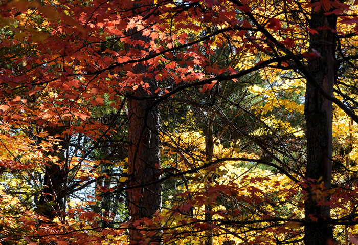 Higgins Lake 90  23