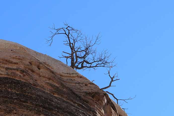 o2/28/835728/1/105920264.PKdPMprW.TentRocksNationalMonument49.jpg