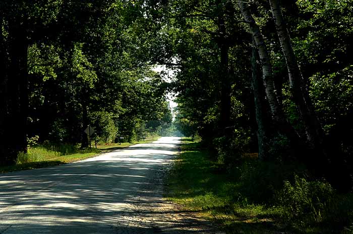 The Road Home