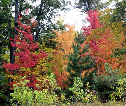 Around Hggins, September 47