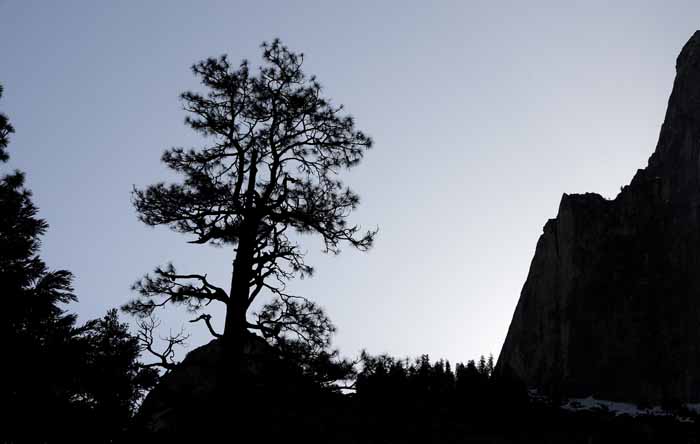 Yosemite in April