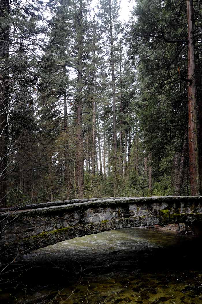 Yosemite in April