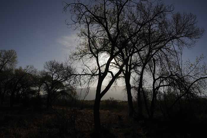 Corrales Village, New Mexico