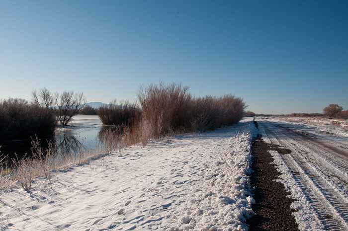 The Marsh Loop
