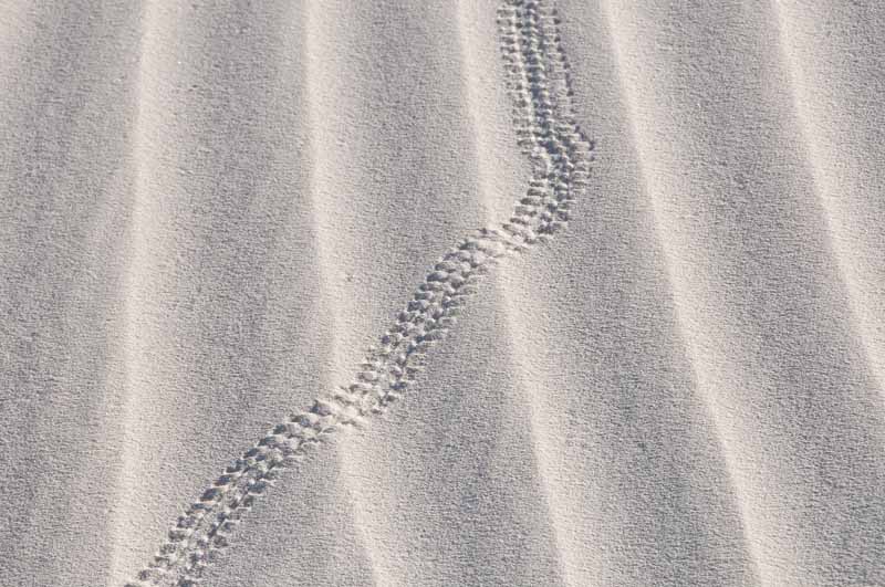 White Sands National Monument