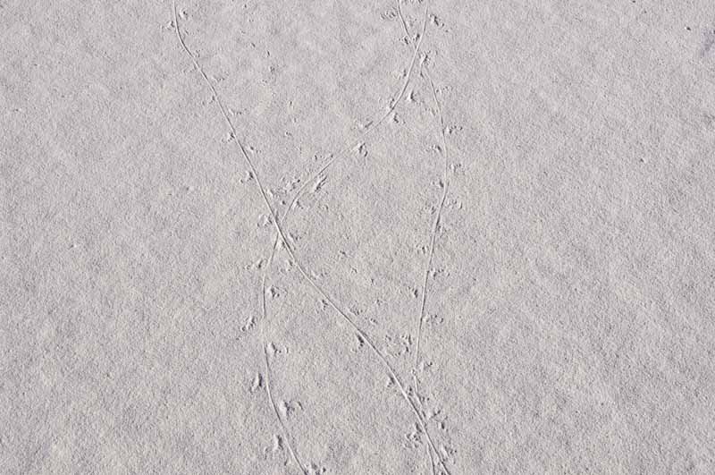 White Sands National Monument