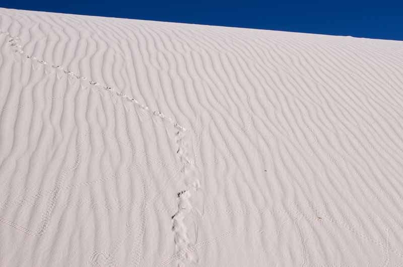 White Sands National Monument