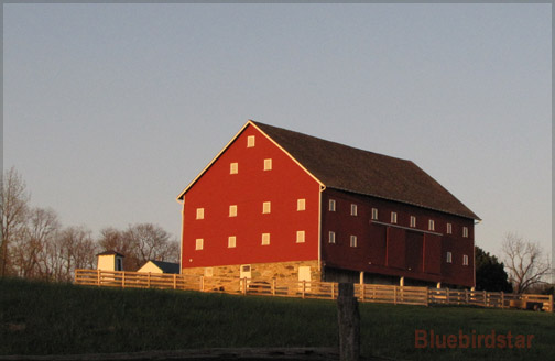 Sunset on the Farm